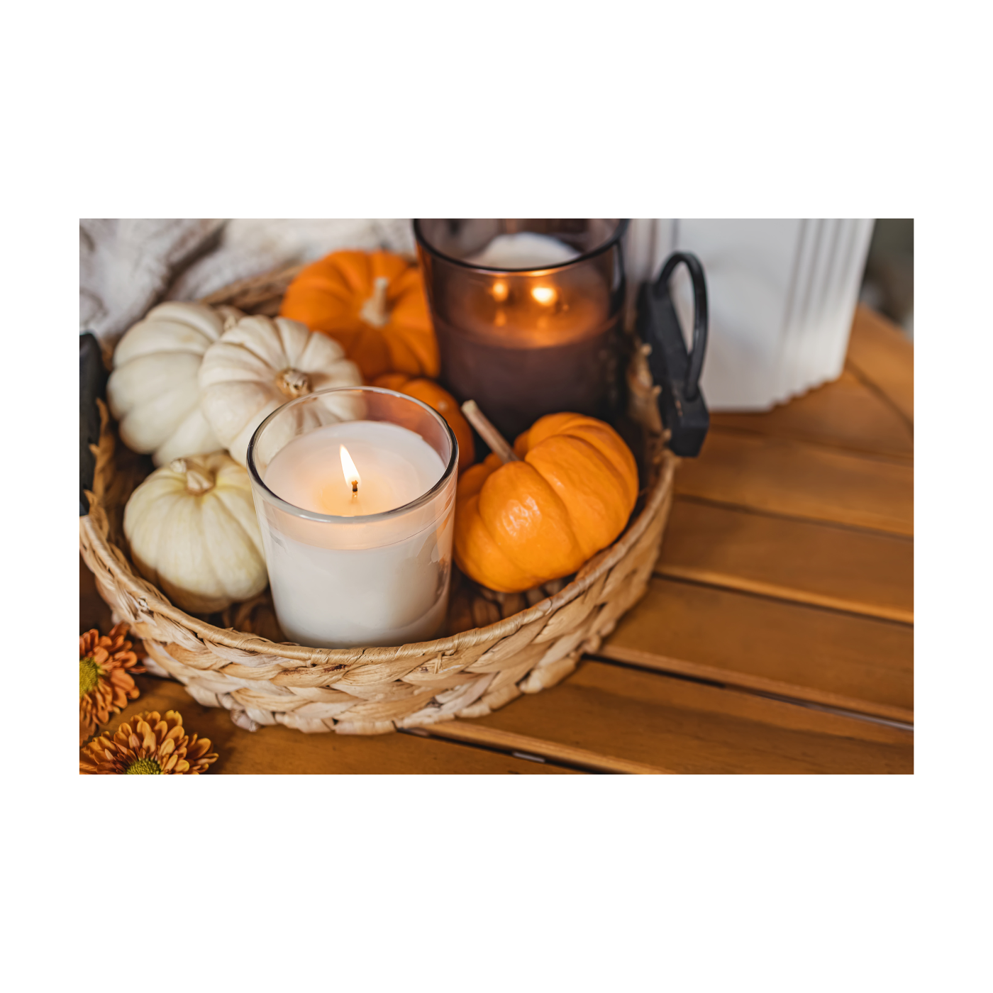 Holiday Collection - Monika Botanika Inc.