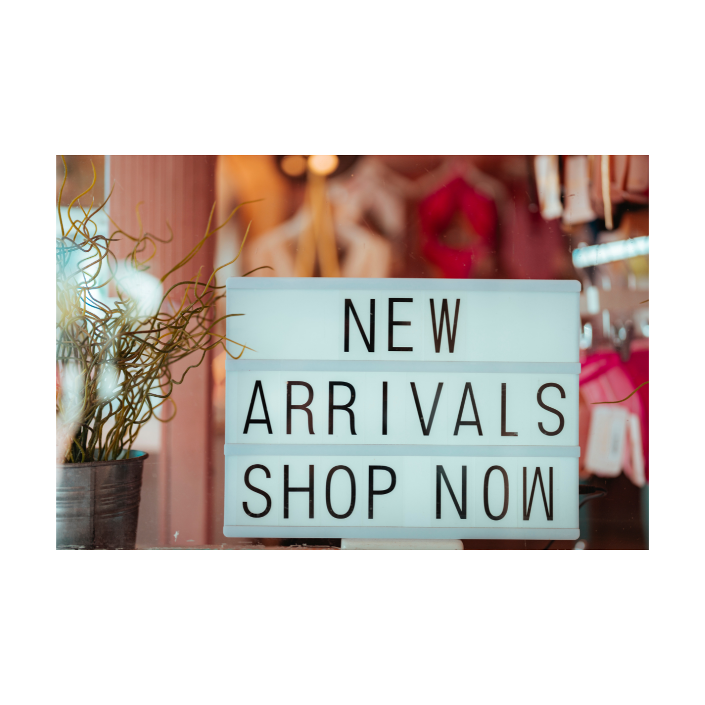New Arrivals - Monika Botanika Inc.