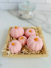 Mini Pumpkin Gift Set