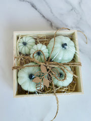 Mini Pumpkin Gift Set