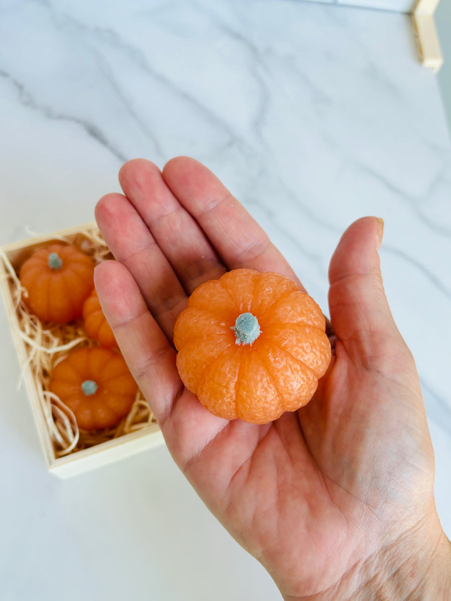Mini Pumpkin Gift Set