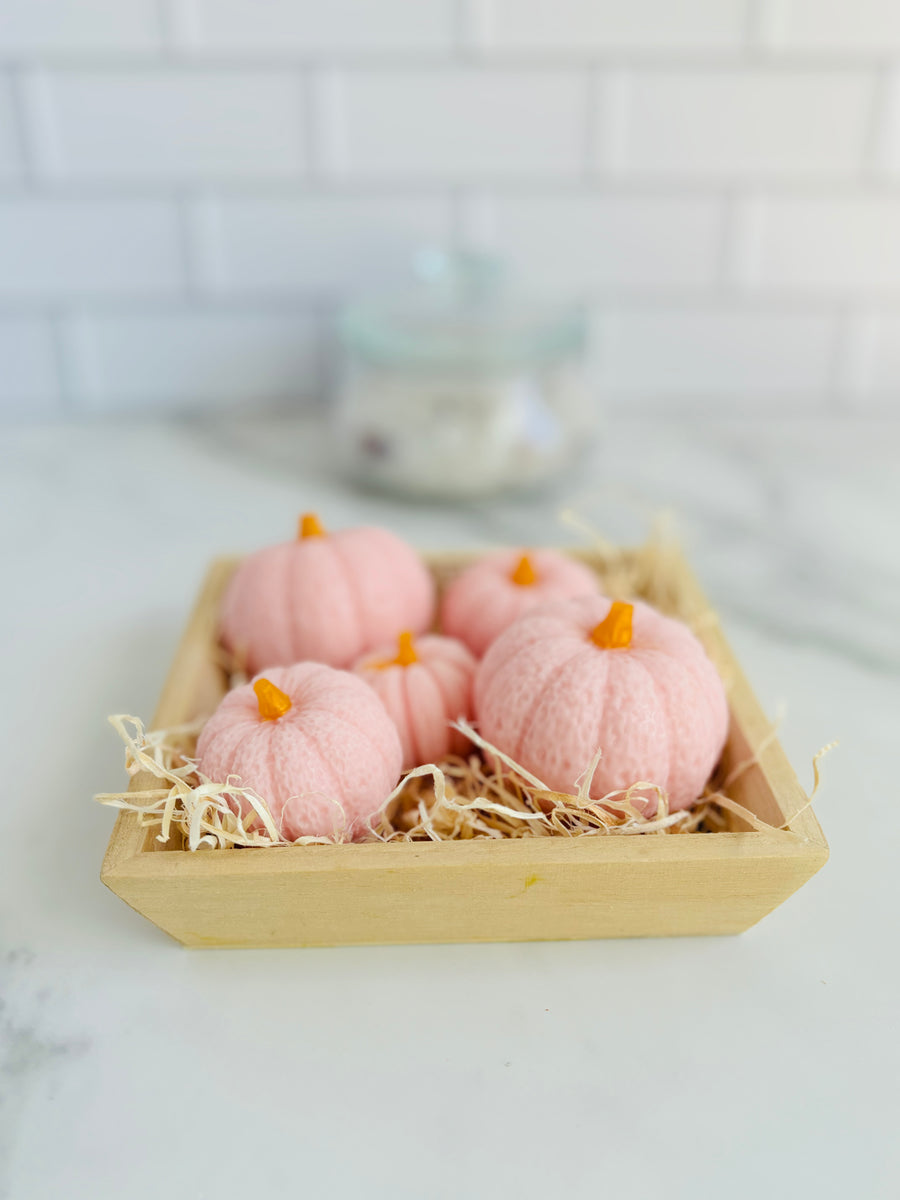 Mini Pumpkin Gift Set