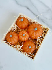 Mini Pumpkin Gift Set